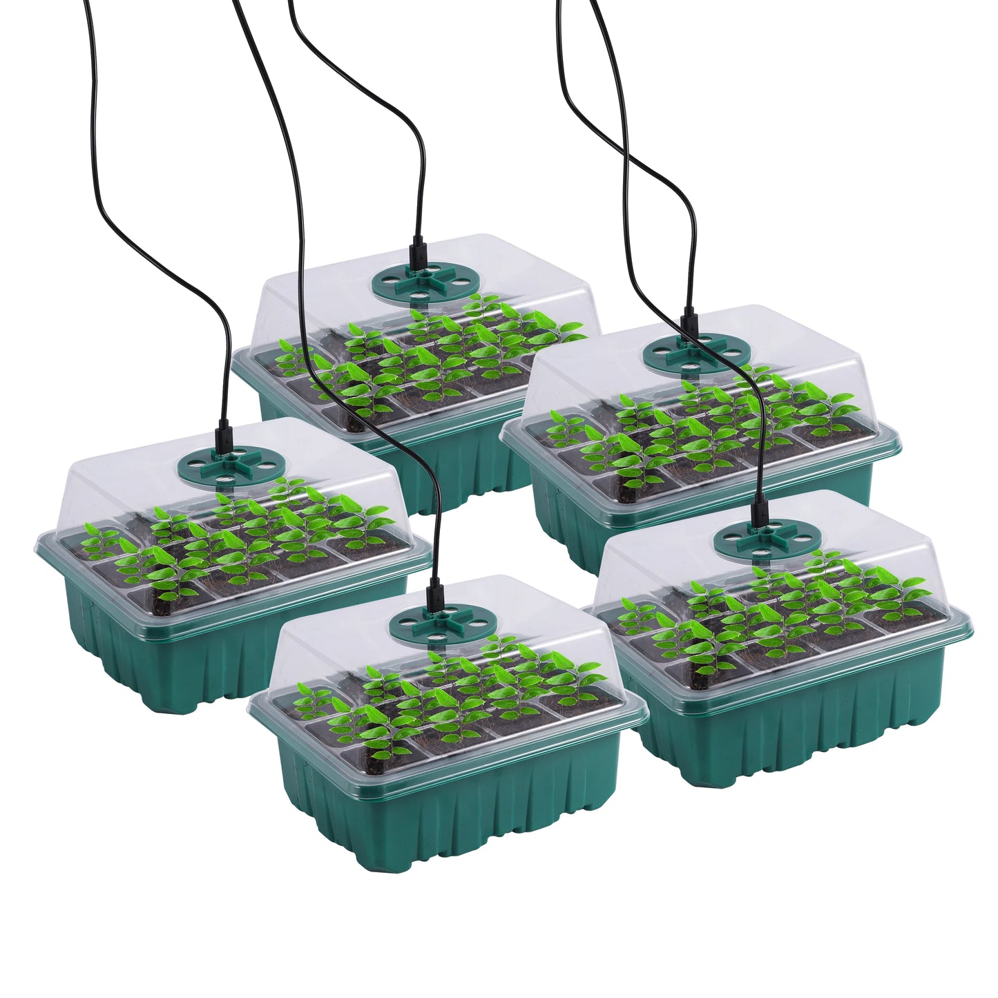 Seed Starter Tray with LED Grow Light – Indoor Germination Kit with Adjustable Ventilation & Humidity Dome (6/12 Cell)