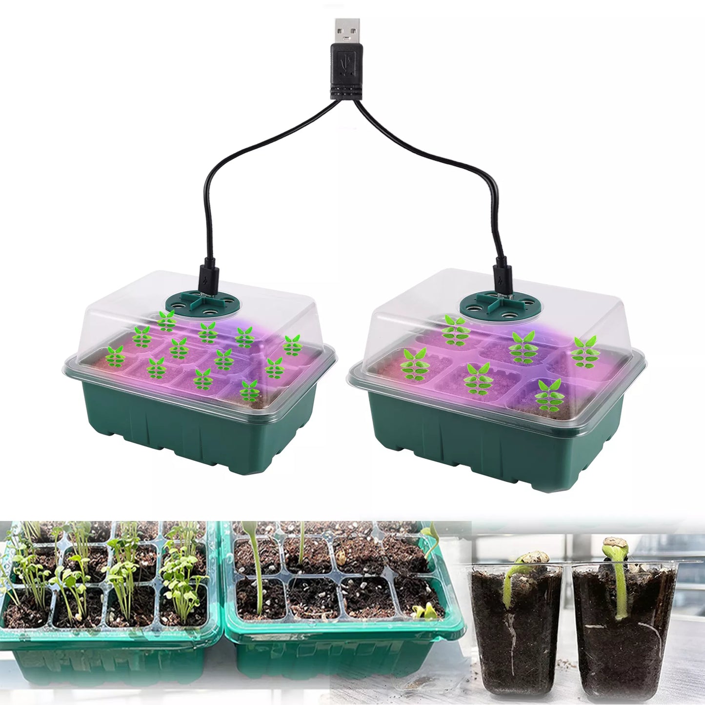 Seed Starter Tray with LED Grow Light – Indoor Germination Kit with Adjustable Ventilation & Humidity Dome (6/12 Cell)