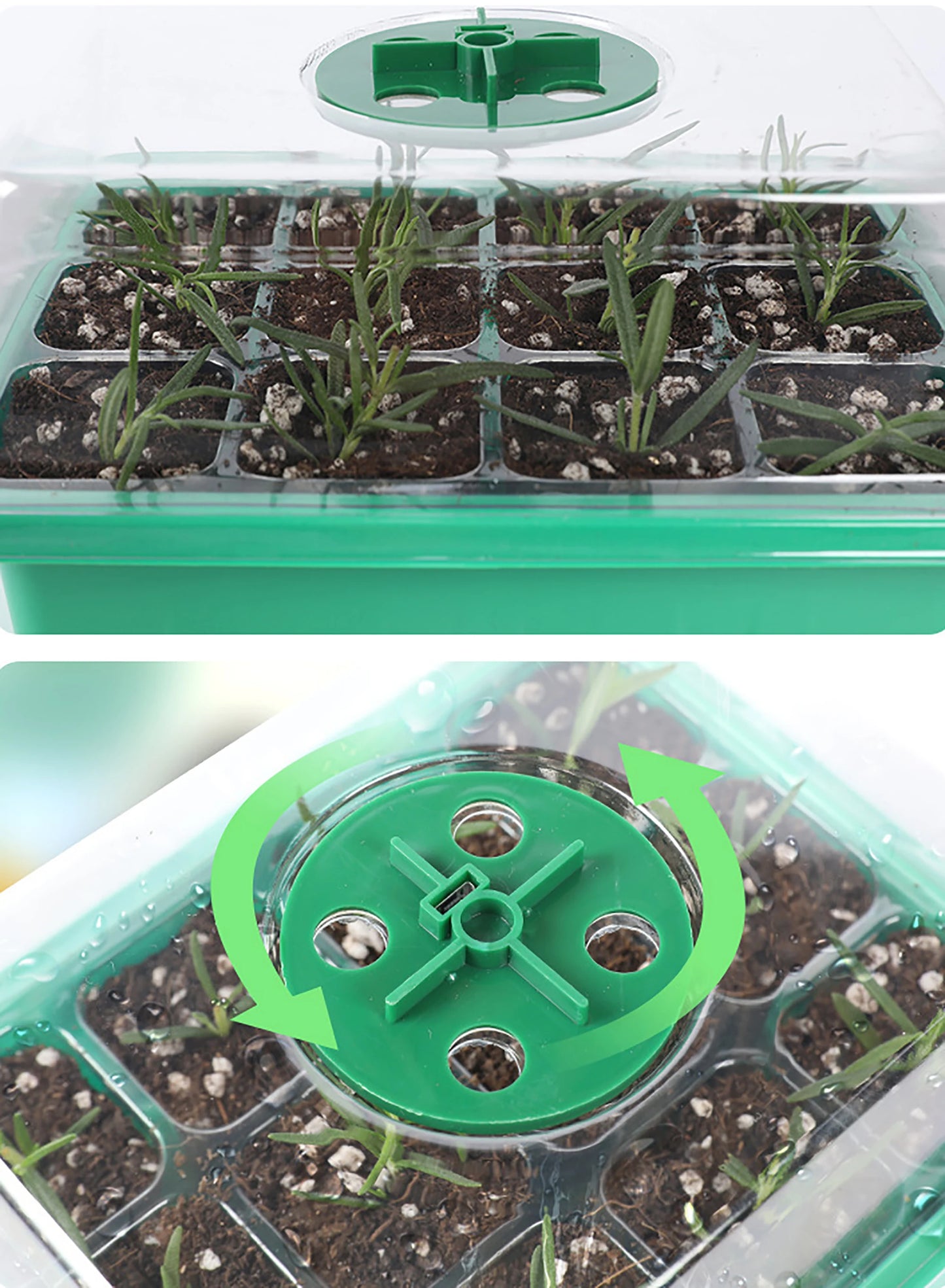 Seed Starter Tray with LED Grow Light – Indoor Germination Kit with Adjustable Ventilation & Humidity Dome (6/12 Cell)