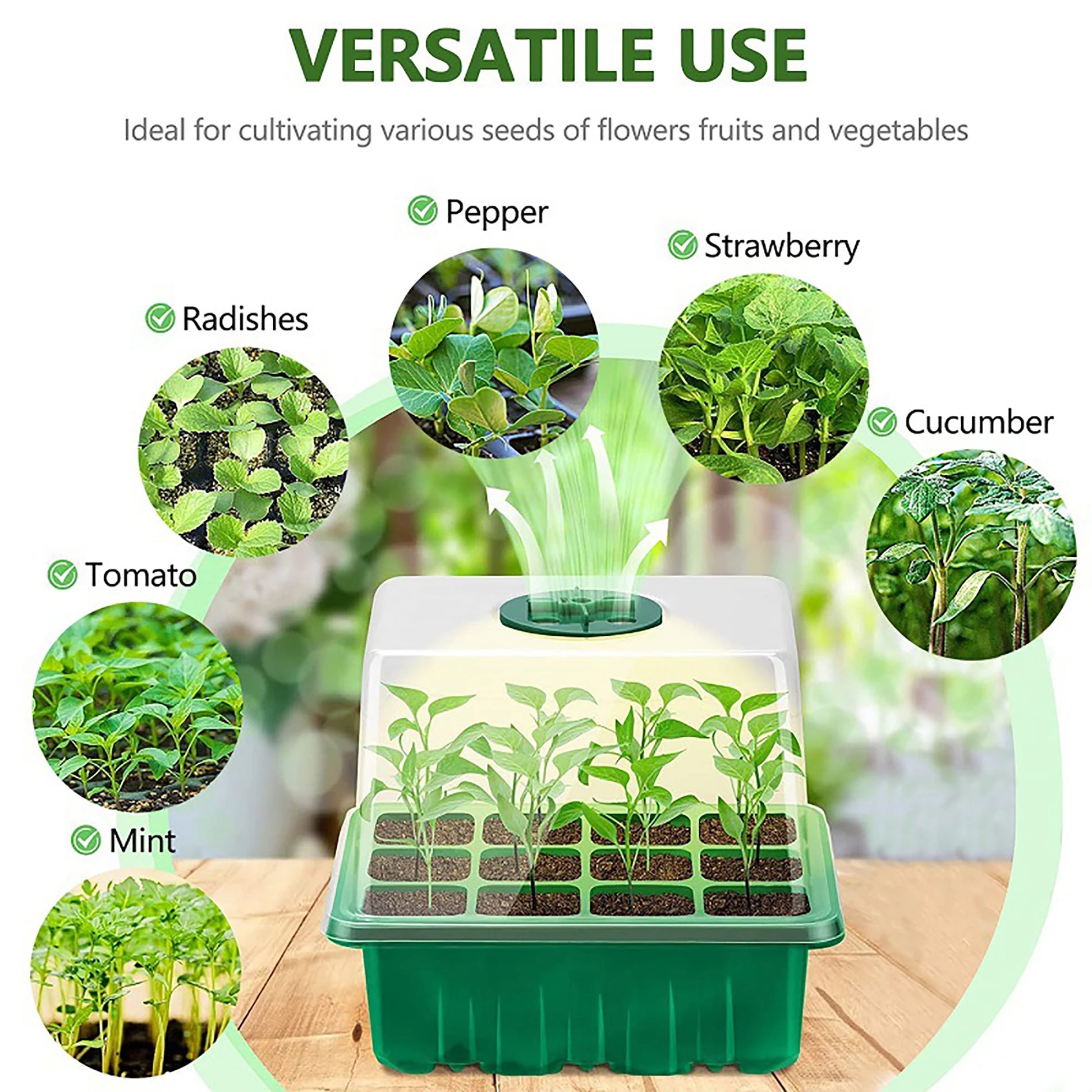 Seed Starter Tray with LED Grow Light – Indoor Germination Kit with Adjustable Ventilation & Humidity Dome (6/12 Cell)