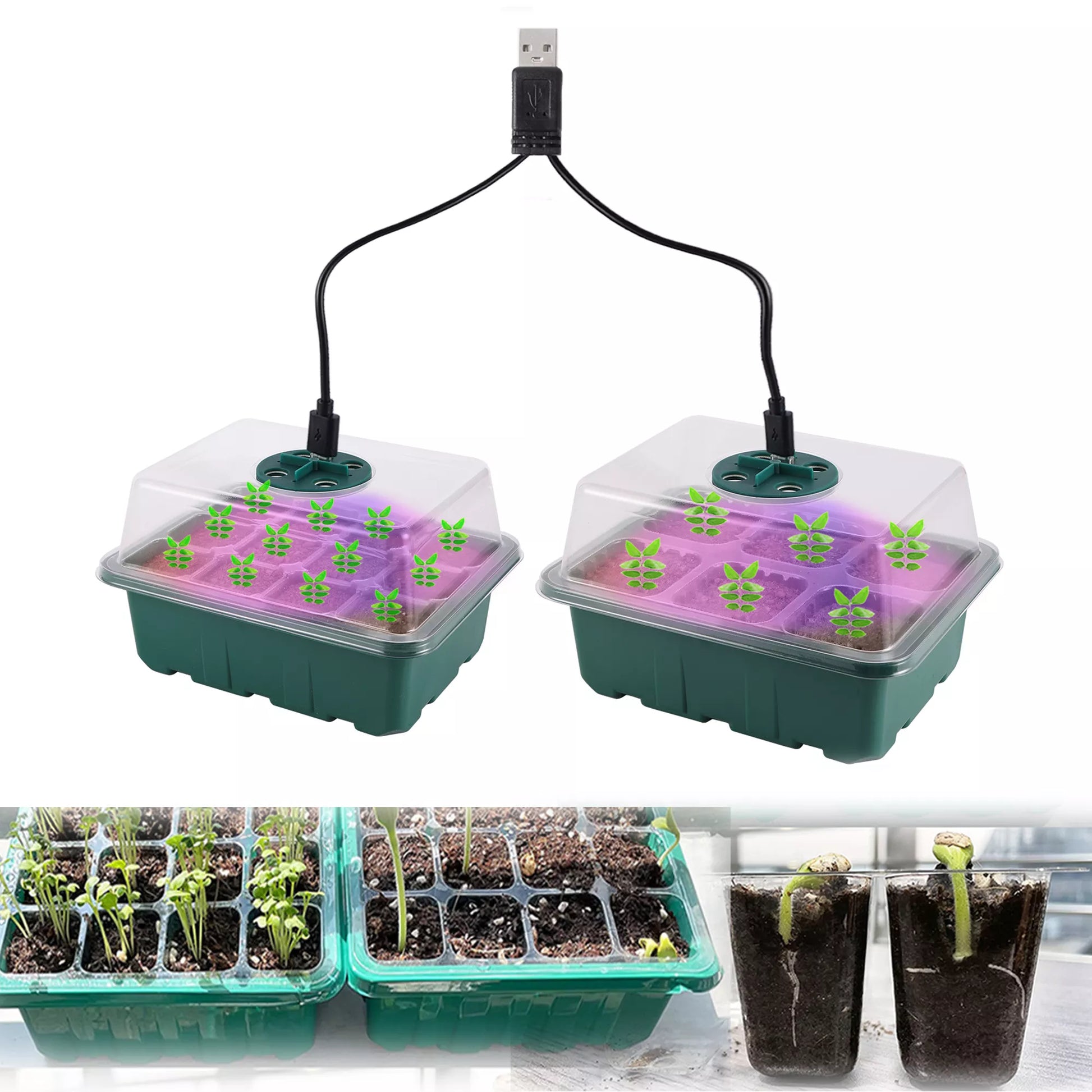 Seed Starter Tray with LED Grow Light – Indoor Germination Kit with Adjustable Ventilation & Humidity Dome (6/12 Cell)
